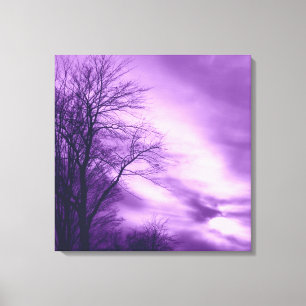 Arbre d'hiver et ciel en toile violette enveloppée