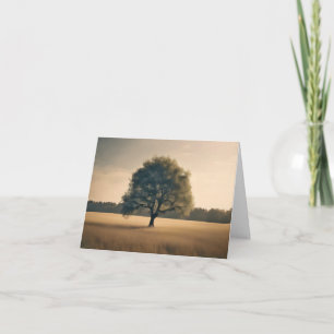 Arbre Dreamy En Champ