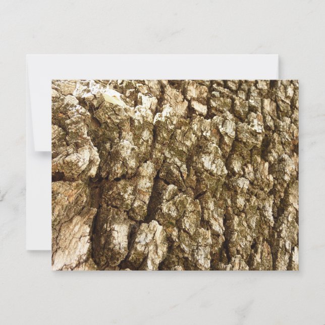 Arbre écorce II Conception texturée naturelle (Devant)