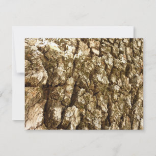 Arbre écorce II Conception texturée naturelle