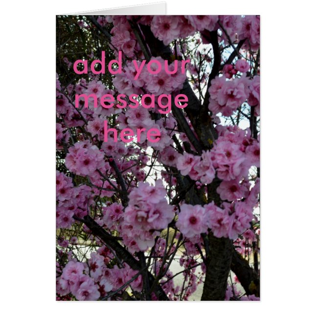 Arbre en fleurs rose, (Devant)