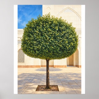 Arbre en topiaire arrondi Impression d'art 16x20 n