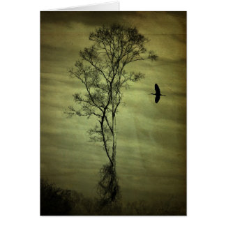 Arbre et oiseau solitaires