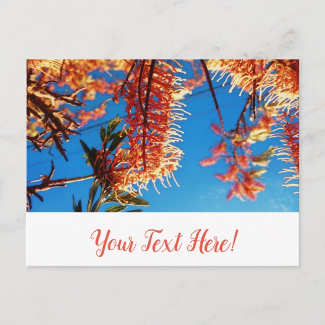 Arbre Fleurs Jaune Orange Ciel Carte Postale (Devant)