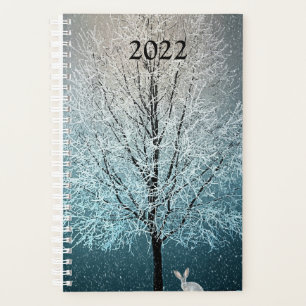 Arbre givré le soir