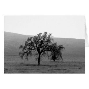 Arbre lointain (noir et blanc)