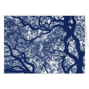 Arbre Magnolia - Effet Cyanotype