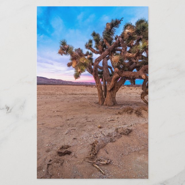 Arbre Mojave Joshua (Devant)