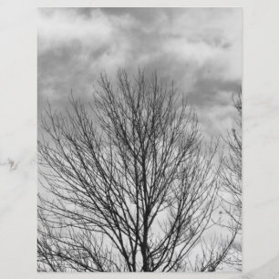 Arbre monochrome