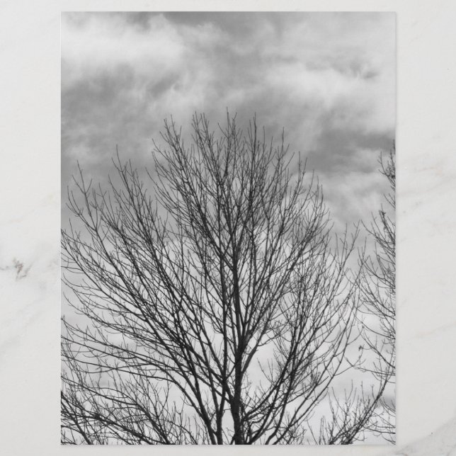Arbre monochrome (Devant)