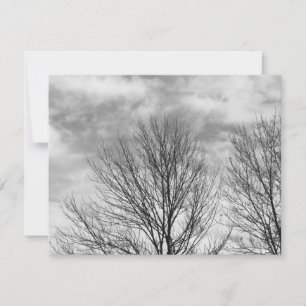 Arbre monochrome