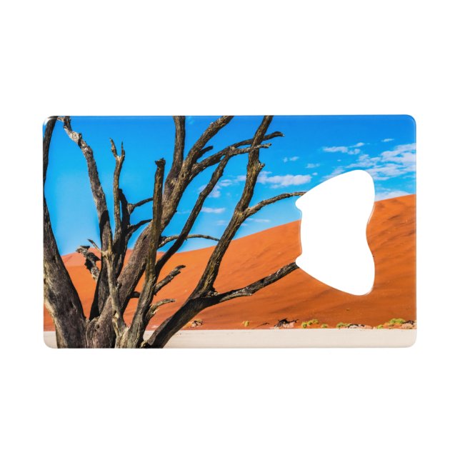 Arbre mort à Deadvlei, Namibie (Dos Horizontal)