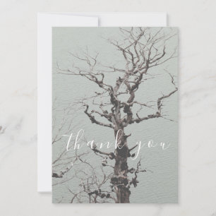 Arbre Patiné tordu Merci plat Blue Lake