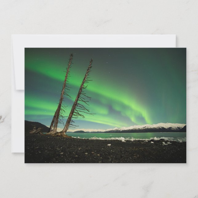 Arbre penché Aurora (Devant)