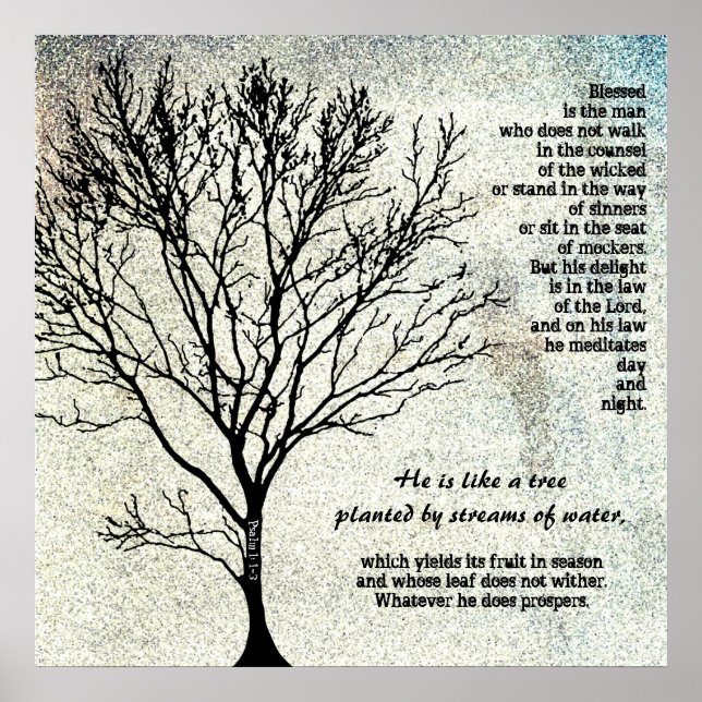 Arbre planté par Streams Écriture Poster (Devant)