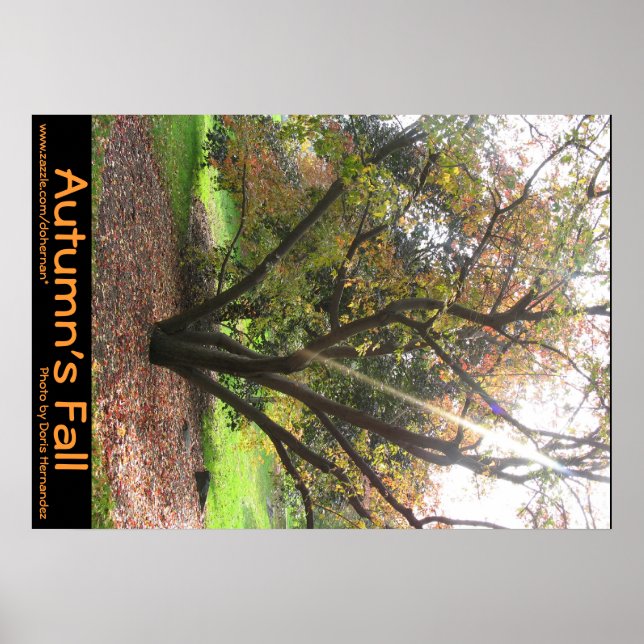 Arbre Rayon d'automne Poster d'automne (Devant)