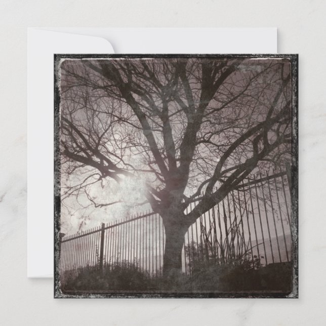 Arbre Rustique Perdu Silhouette Grunge (Devant)