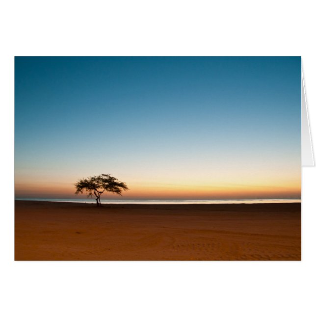 Arbre solitaire au lever du soleil au Koweït (Devant horizontal)