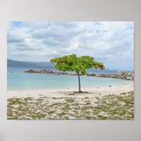 ARBRE SUR LA PLAGE EN JAMAICA POSTER
