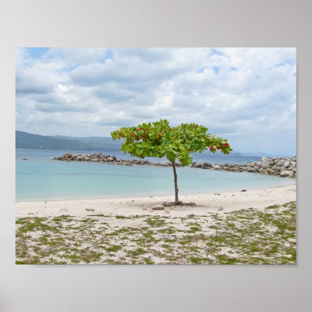 ARBRE SUR LA PLAGE EN JAMAICA POSTER (Devant)