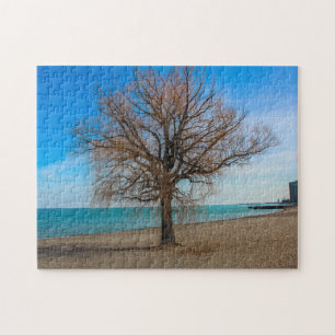 Arbre sur le puzzle de la plage