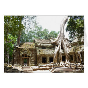 arbre ta prohm