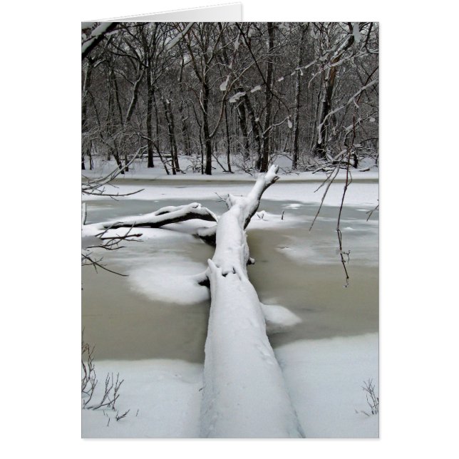 Arbre tombé en hiver (Devant)
