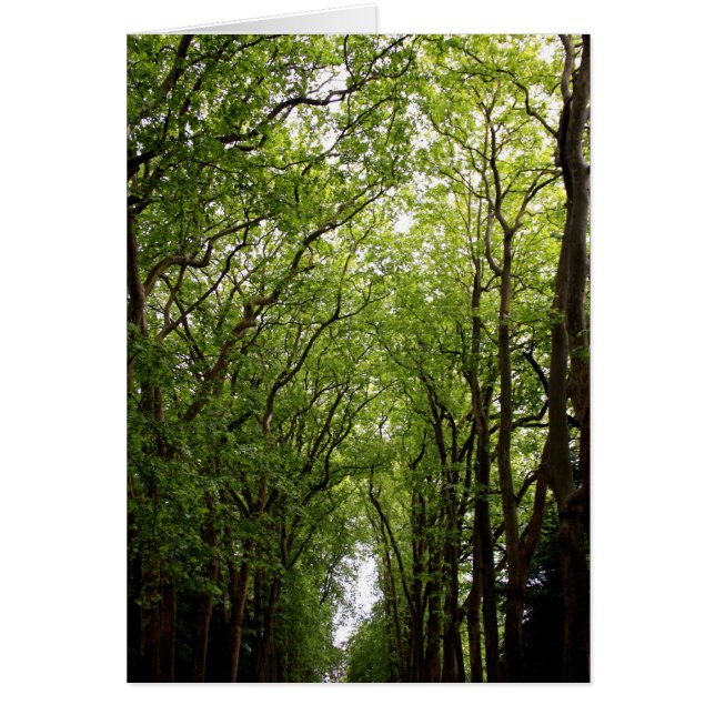 Arbres (Devant)