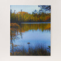 arbres à travers un lac dans le puzzle de chute