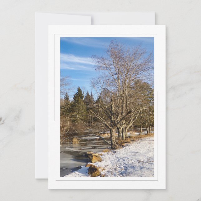 Arbres au bord du lac - 5x7 Appartement de vacance (Devant)