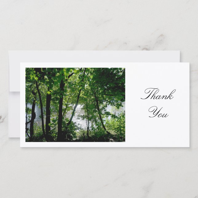 Arbres au bord d'une rivière - Merci (Devant)