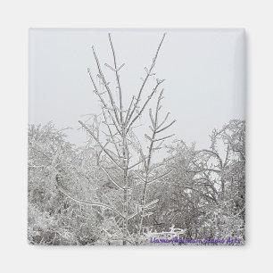 Arbres couverts de neige et de glace #1 aimant