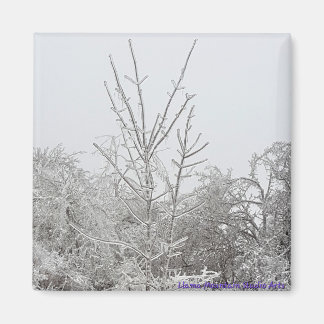 Arbres couverts de neige et de glace #1 aimant