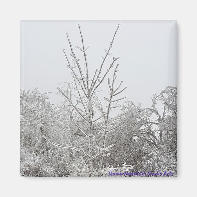 Arbres couverts de neige et de glace #1 aimant (Devant)