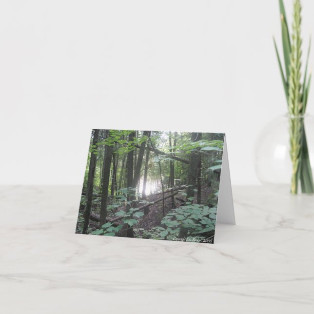 Arbres dans la forêt - carte de voeux nature (Devant)