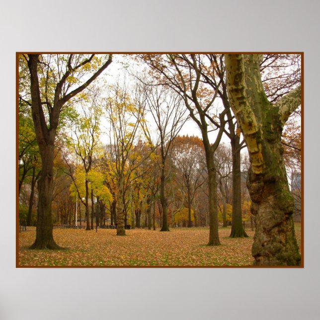 Arbres d'automne Imprimer New York Affiche paysagè (Devant)