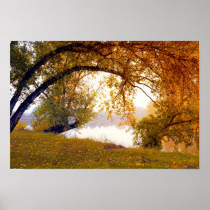 Arbres d'automne Misty lake Poster