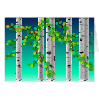 Arbres de bouleau