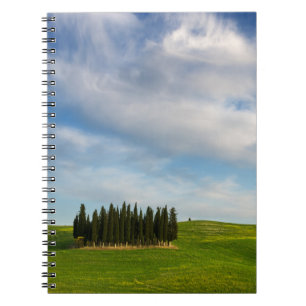 Arbres de Cypress dans le carnet de la Toscane