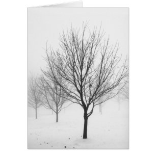 Arbres de Milou (blanc)