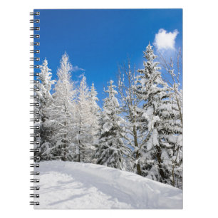 Arbres de neige sous un carnet clair de ciel bleu