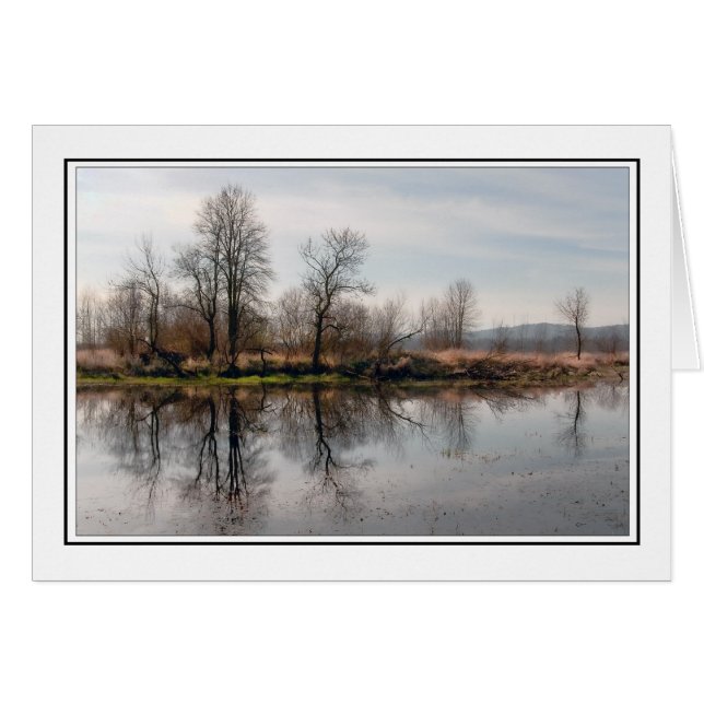 Arbres d'hiver (Devant horizontal)