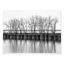 Arbres d'hiver au bord de l'eau, B&W Photo Print