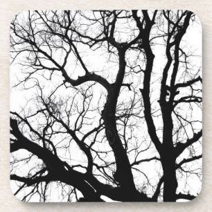 arbres d'hiver dessous de verre photo noir et blan