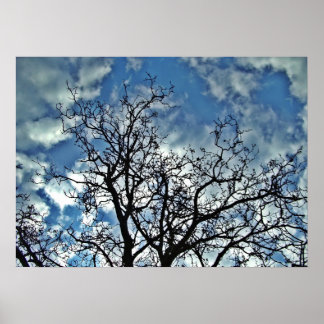 Arbres dramatique affiche du ciel
