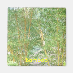 Arbres en bambou, aimant en bambou