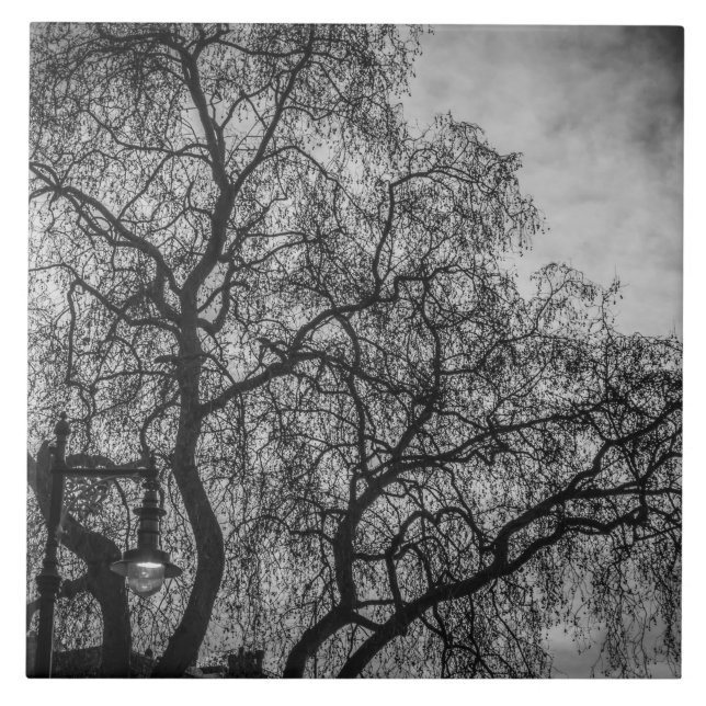 Arbres en carreaux céramiques noir et blanc (Devant)