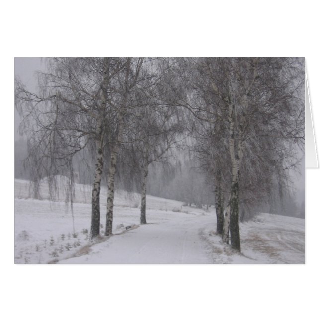 Arbres en hiver (Devant horizontal)