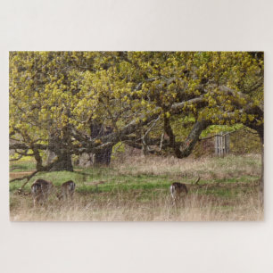 Arbres et cerfs Puzzle
