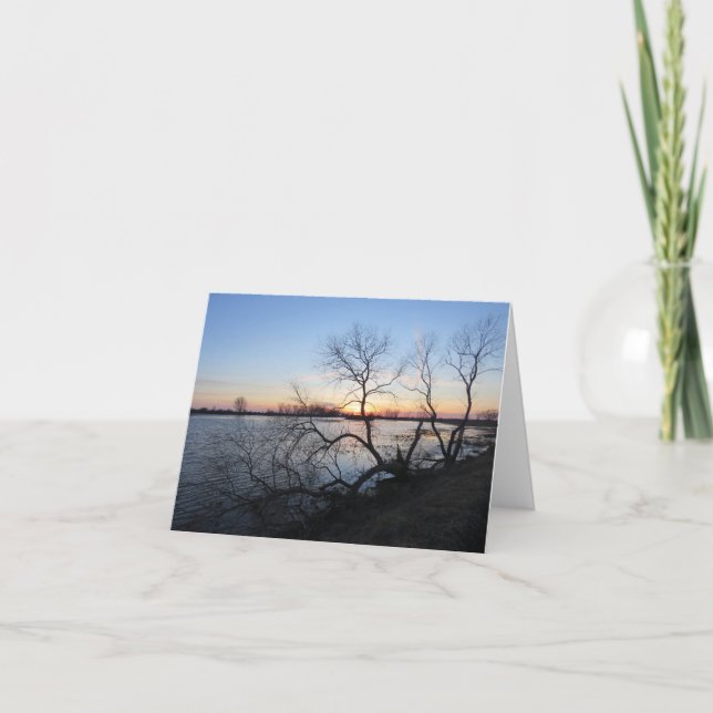 Arbres et Coucher de Soleil - Carte de Vœux Vierge (Devant)
